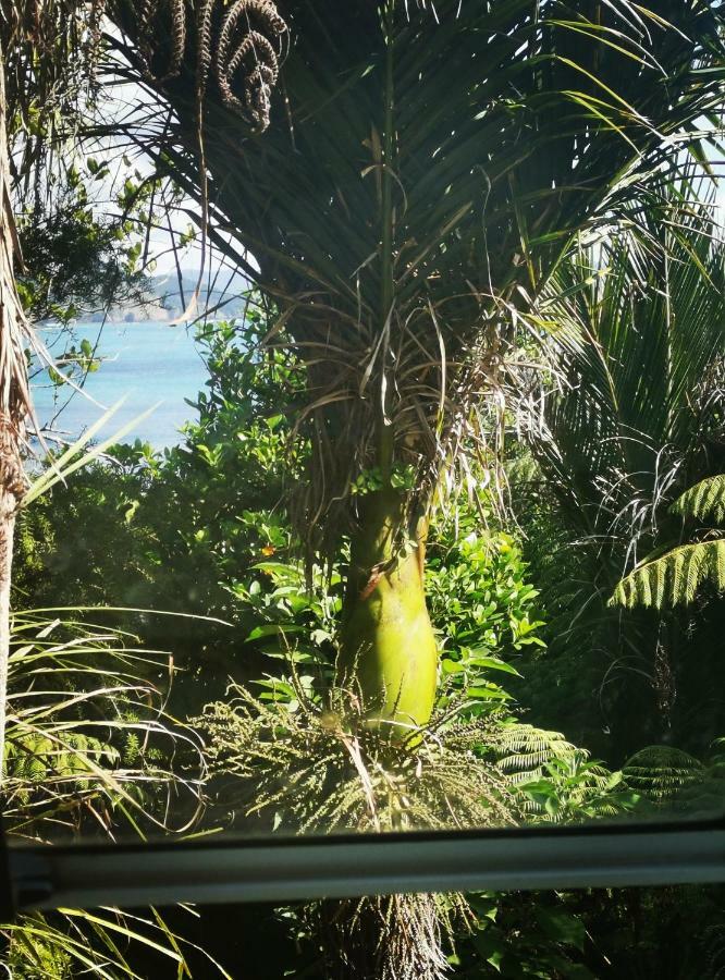 Matapouri Cabin By The Beach Hotel Esterno foto