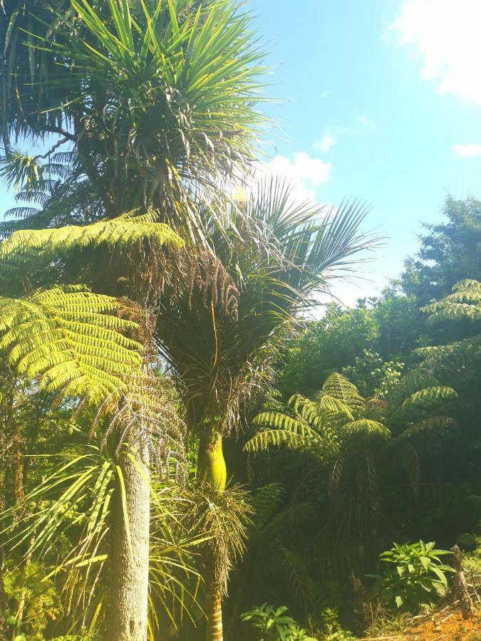 Matapouri Cabin By The Beach Hotel Esterno foto