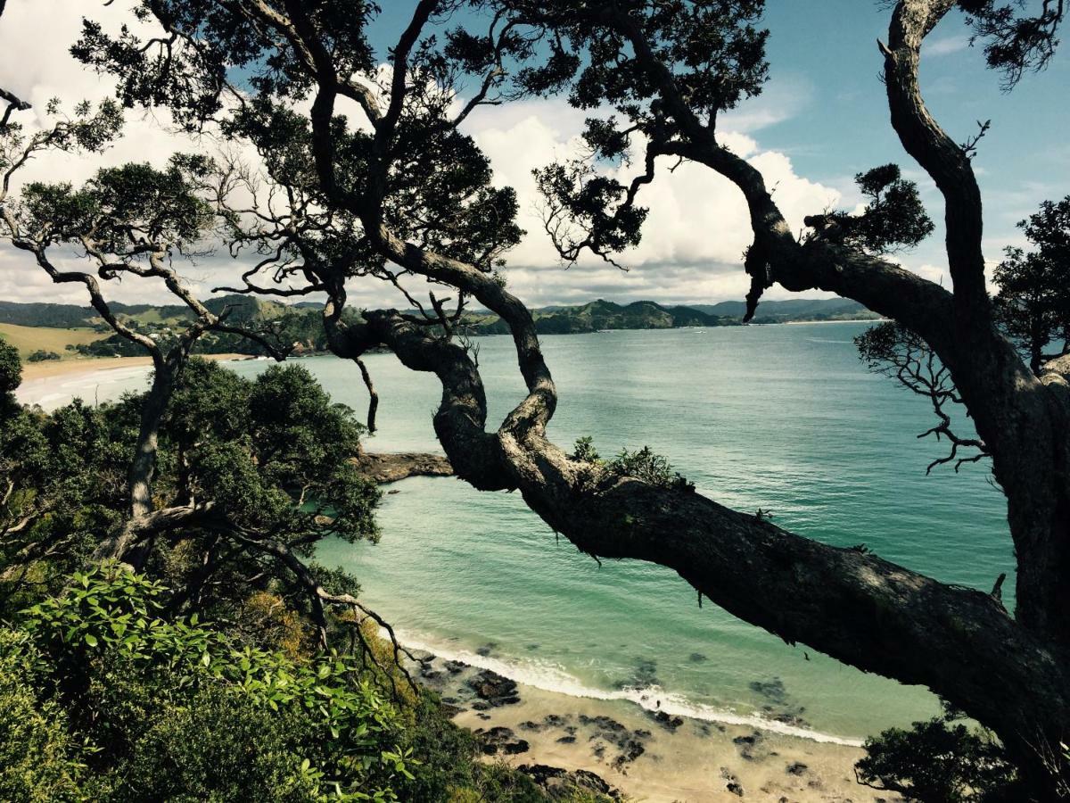 Matapouri Cabin By The Beach Hotel Esterno foto
